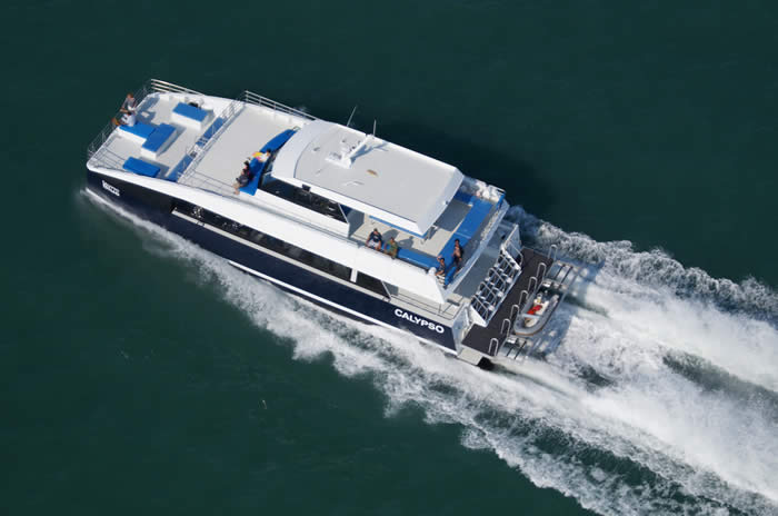 22m Dive Charter Catamaran Design