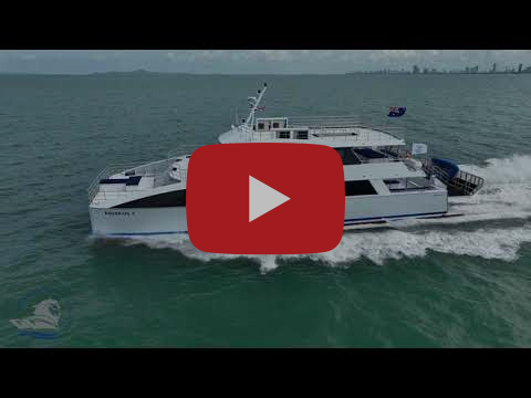 Aquarius II 26M Dive Cat